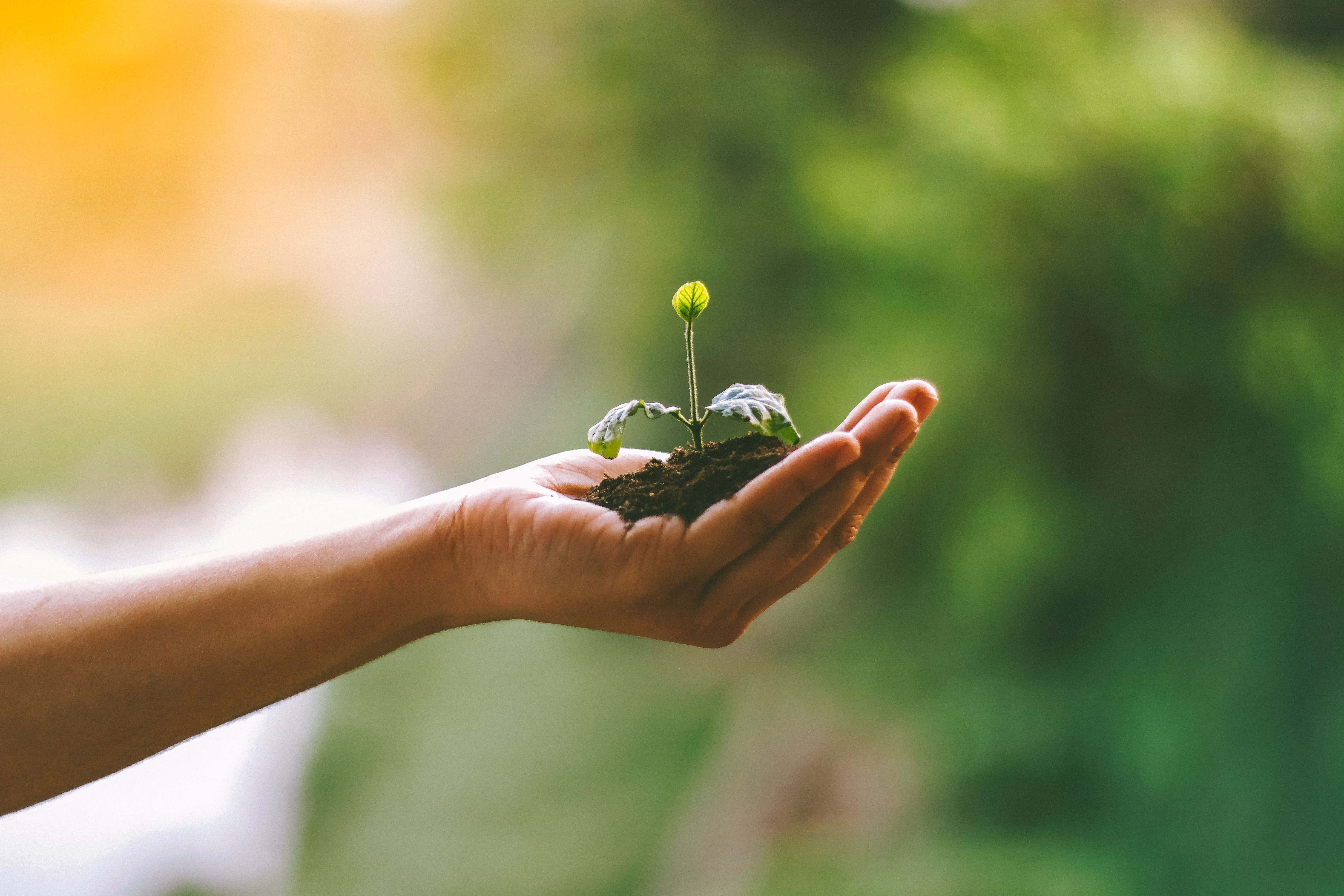 Why Discomfort Is a Sign You Are Growing